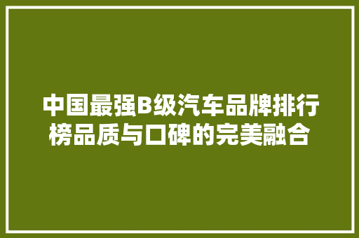 中国最强B级汽车品牌排行榜品质与口碑的完美融合