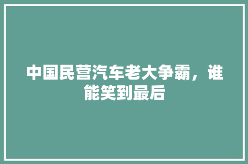 中国民营汽车老大争霸，谁能笑到最后