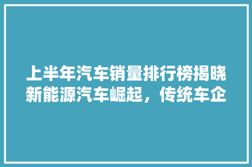 上半年汽车销量排行榜揭晓新能源汽车崛起，传统车企面临挑战  第1张