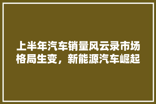 上半年汽车销量风云录市场格局生变，新能源汽车崛起