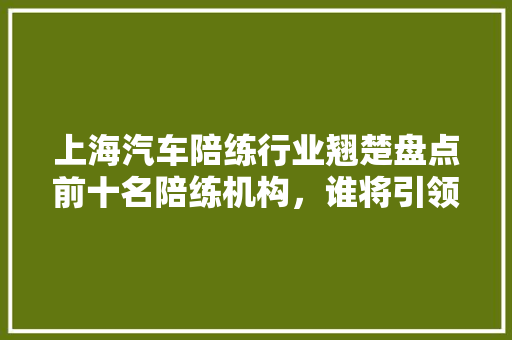 上海汽车陪练行业翘楚盘点前十名陪练机构，谁将引领未来