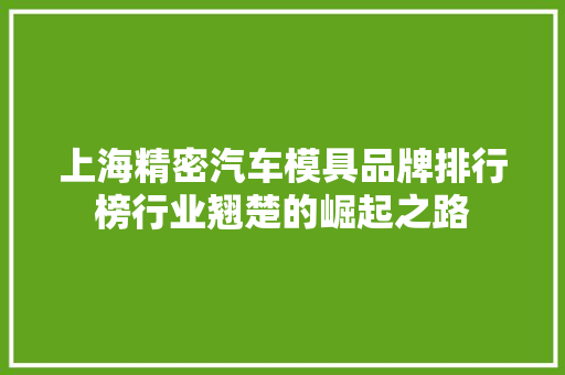 上海精密汽车模具品牌排行榜行业翘楚的崛起之路