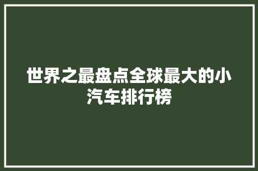 世界之最盘点全球最大的小汽车排行榜