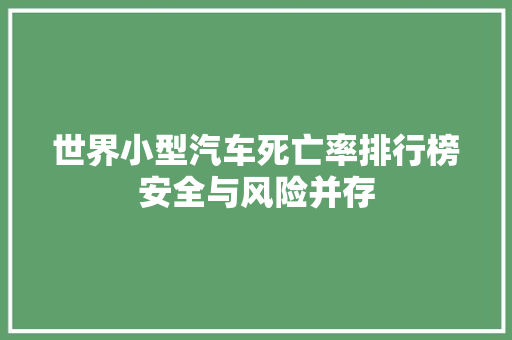 世界小型汽车死亡率排行榜安全与风险并存