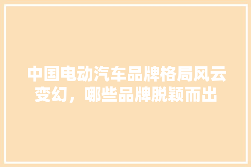 中国电动汽车品牌格局风云变幻，哪些品牌脱颖而出  第1张