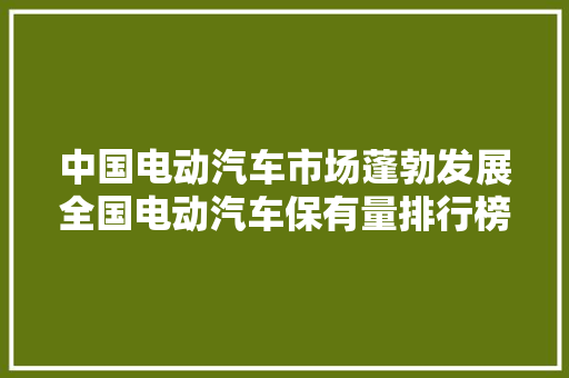中国电动汽车市场蓬勃发展全国电动汽车保有量排行榜