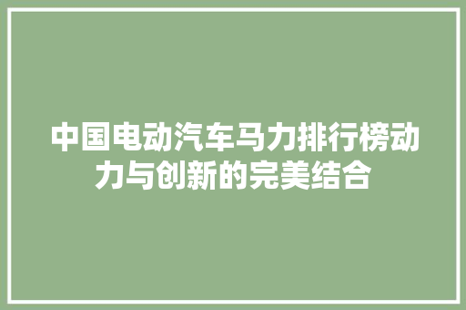 中国电动汽车马力排行榜动力与创新的完美结合