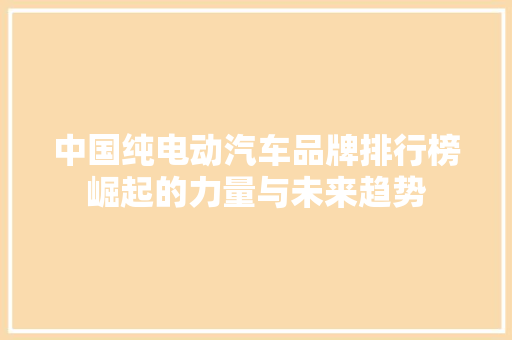 中国纯电动汽车品牌排行榜崛起的力量与未来趋势  第1张