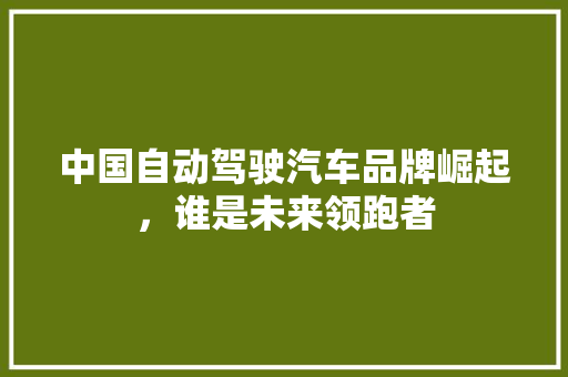 中国自动驾驶汽车品牌崛起，谁是未来领跑者