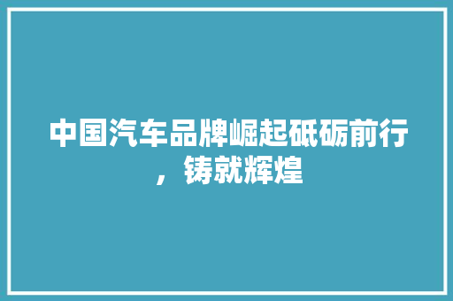 中国汽车品牌崛起砥砺前行，铸就辉煌