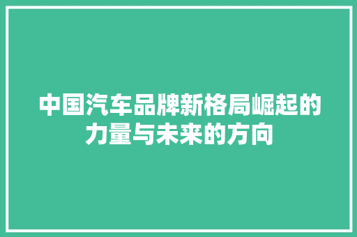 中国汽车品牌新格局崛起的力量与未来的方向