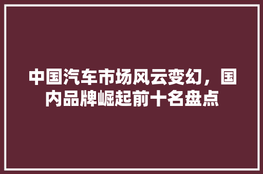 中国汽车市场风云变幻，国内品牌崛起前十名盘点