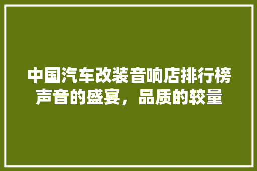 中国汽车改装音响店排行榜声音的盛宴，品质的较量