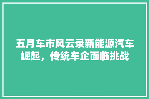 五月车市风云录新能源汽车崛起，传统车企面临挑战