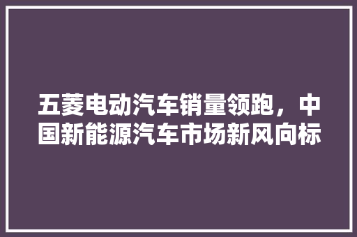 五菱电动汽车销量领跑，中国新能源汽车市场新风向标