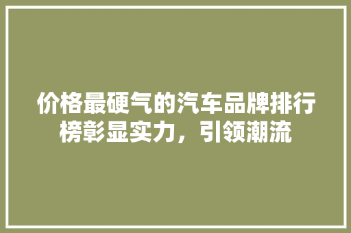 价格最硬气的汽车品牌排行榜彰显实力，引领潮流