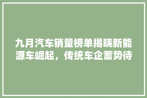 九月汽车销量榜单揭晓新能源车崛起，传统车企蓄势待发