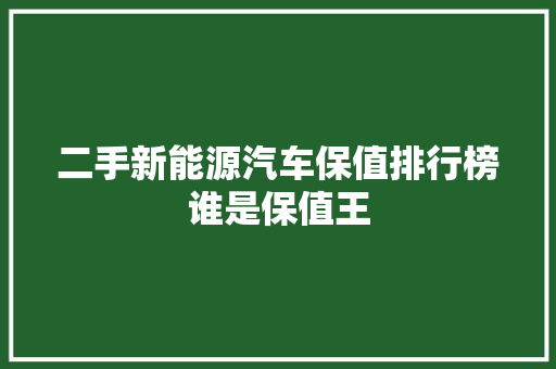 二手新能源汽车保值排行榜谁是保值王