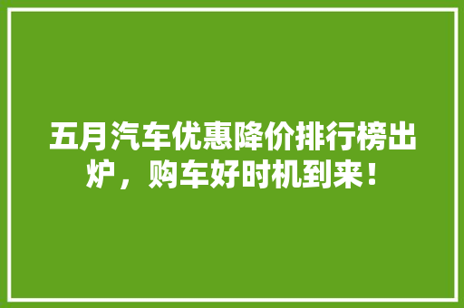 五月汽车优惠降价排行榜出炉，购车好时机到来！  第1张