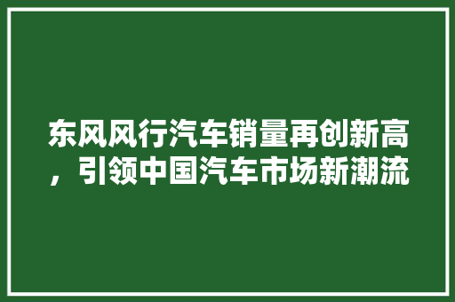 东风风行汽车销量再创新高，引领中国汽车市场新潮流
