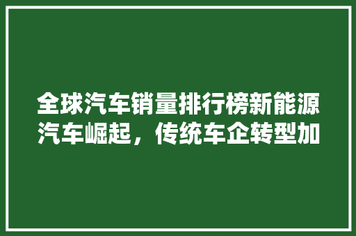 全球汽车销量排行榜新能源汽车崛起，传统车企转型加速