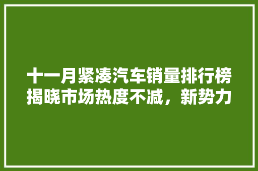 十一月紧凑汽车销量排行榜揭晓市场热度不减，新势力崛起