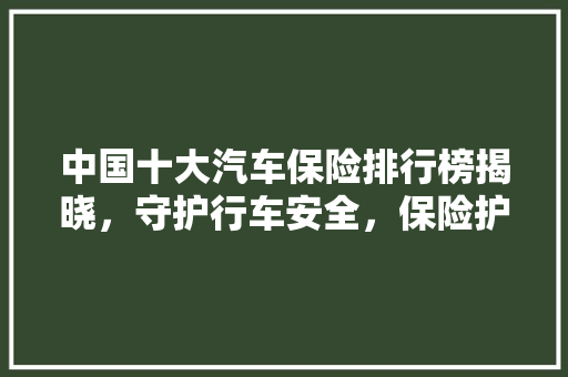 中国十大汽车保险排行榜揭晓，守护行车安全，保险护航