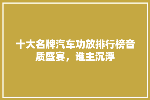 十大名牌汽车功放排行榜音质盛宴，谁主沉浮
