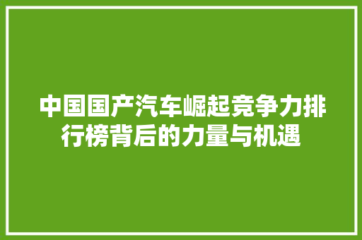 中国国产汽车崛起竞争力排行榜背后的力量与机遇