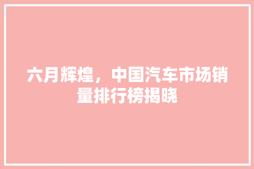 六月辉煌，中国汽车市场销量排行榜揭晓
