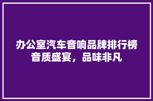 办公室汽车音响品牌排行榜音质盛宴，品味非凡