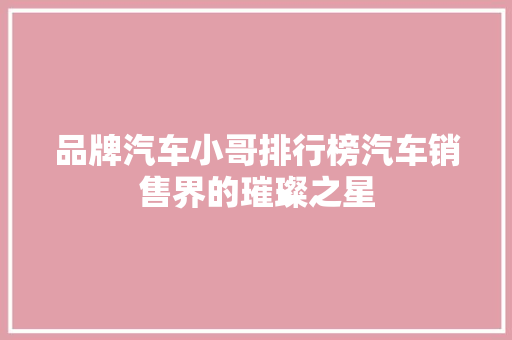 品牌汽车小哥排行榜汽车销售界的璀璨之星