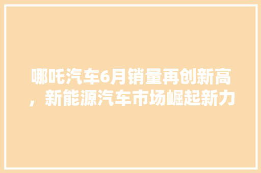 哪吒汽车6月销量再创新高，新能源汽车市场崛起新力量  第1张