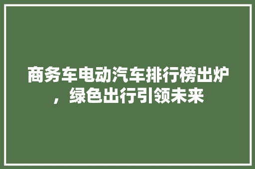 商务车电动汽车排行榜出炉，绿色出行引领未来