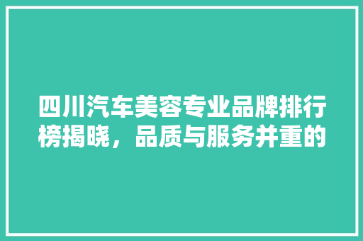 四川汽车美容专业品牌排行榜揭晓，品质与服务并重的行业标杆