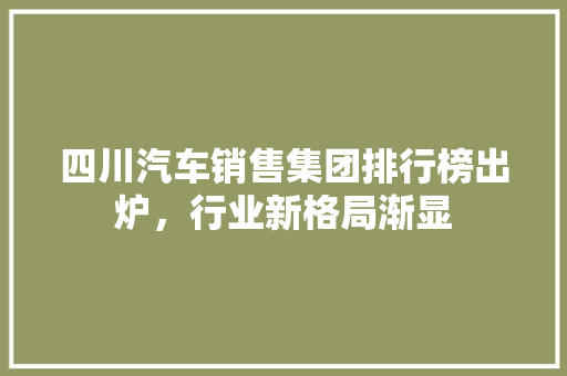 四川汽车销售集团排行榜出炉，行业新格局渐显