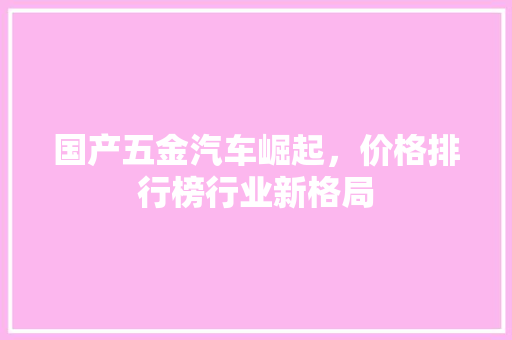 国产五金汽车崛起，价格排行榜行业新格局