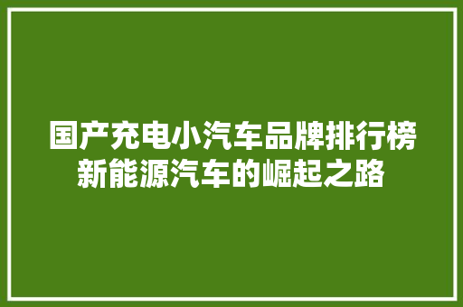 国产充电小汽车品牌排行榜新能源汽车的崛起之路