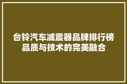 台铃汽车减震器品牌排行榜品质与技术的完美融合