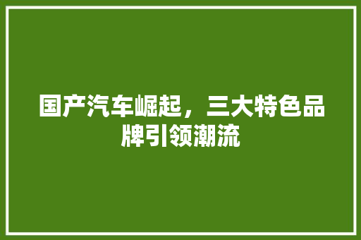 国产汽车崛起，三大特色品牌引领潮流  第1张