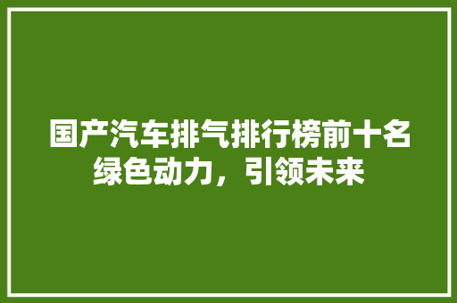 国产汽车排气排行榜前十名绿色动力，引领未来