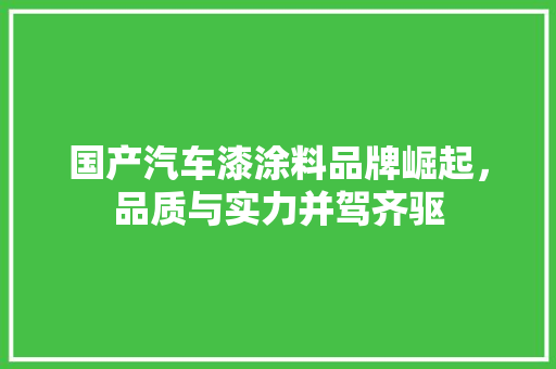 国产汽车漆涂料品牌崛起，品质与实力并驾齐驱