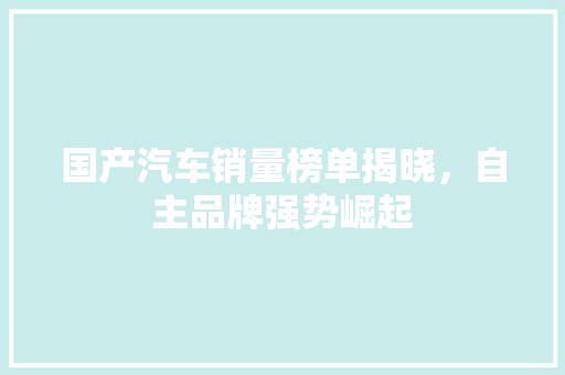 国产汽车销量榜单揭晓，自主品牌强势崛起  第1张