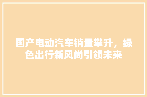 国产电动汽车销量攀升，绿色出行新风尚引领未来  第1张