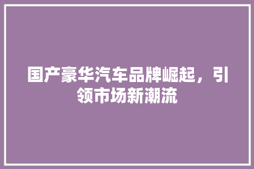 国产豪华汽车品牌崛起，引领市场新潮流