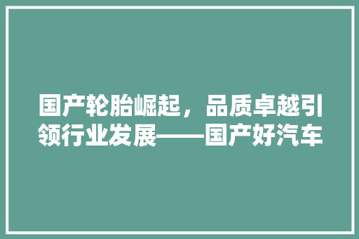 国产轮胎崛起，品质卓越引领行业发展——国产好汽车轮胎品牌排行榜