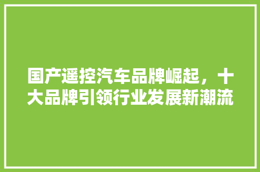 国产遥控汽车品牌崛起，十大品牌引领行业发展新潮流