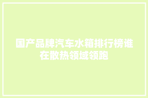 国产品牌汽车水箱排行榜谁在散热领域领跑