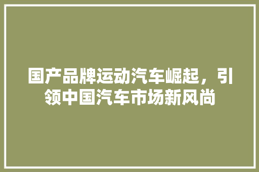 国产品牌运动汽车崛起，引领中国汽车市场新风尚