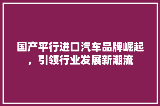 国产平行进口汽车品牌崛起，引领行业发展新潮流  第1张